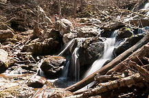 Dark Hollow Falls Walk