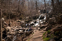 Dark Hollow Falls Walk