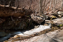 Dark Hollow Falls Walk