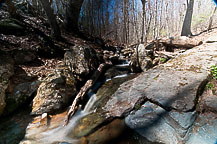 Dark Hollow Falls Walk