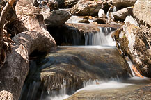 Dark Hollow Falls Walk