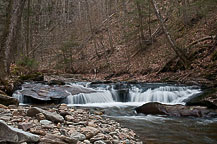 Ricketts Glen State park, PA