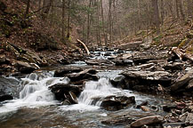 Ricketts Glen State park, PA