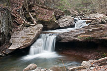 Ricketts Glen State park, PA
