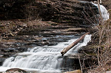 Ricketts Glen State park, PA