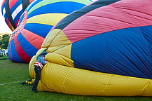 Spiedie Fest 2010