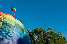 Spiedie Fest 2010