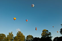 Spiedie Fest 2010