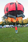 Spiedie Fest 2010