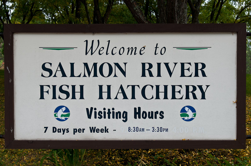 Salmon River Fish Hatchery Open House, 2010