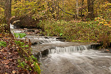 Stream at Pixley Falls