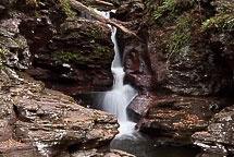 Fall Colors, Rickets Glen State Park, Pennsylvania