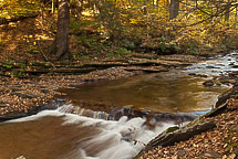 Fall Colors, Rickets Glen State Park, Pennsylvania