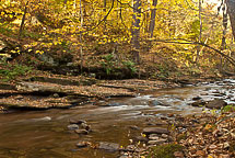 Fall Colors, Rickets Glen State Park, Pennsylvania