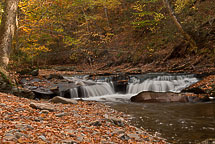 Fall Colors, Rickets Glen State Park, Pennsylvania