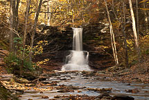 Fall Colors, Rickets Glen State Park, Pennsylvania