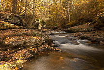 Fall Colors, Rickets Glen State Park, Pennsylvania