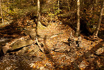 Fall Colors, Rickets Glen State Park, Pennsylvania