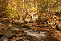 Fall Colors, Rickets Glen State Park, Pennsylvania