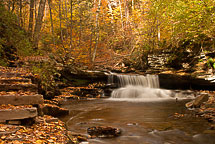 Fall Colors, Rickets Glen State Park, Pennsylvania