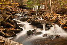 Fall Colors, Rickets Glen State Park, Pennsylvania