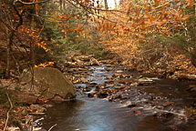 Fall Colors, Rickets Glen State Park, Pennsylvania