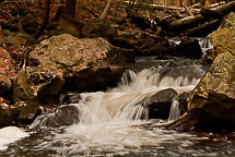 Fall Colors, Rickets Glen State Park, Pennsylvania