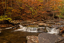 Fall Colors, Rickets Glen State Park, Pennsylvania