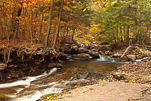 Fall Colors, Rickets Glen State Park, Pennsylvania