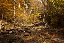 Fall Colors, Rickets Glen State Park, Pennsylvania