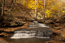 Fall Colors, Rickets Glen State Park, Pennsylvania