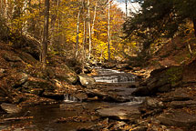 Fall Colors, Rickets Glen State Park, Pennsylvania