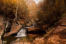 Fall Colors, Rickets Glen State Park, Pennsylvania