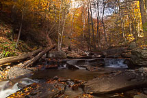 Fall Colors, Rickets Glen State Park, Pennsylvania