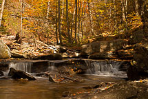 Fall Colors, Rickets Glen State Park, Pennsylvania