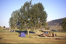 Campsite