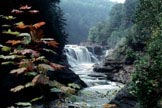 Letchworth State park, Lower Falls