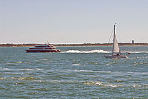 The Fast Ferry