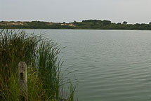 Head of Hummock Pond