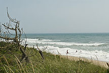 The Surf at Cisco