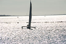 Nantucket Harbor