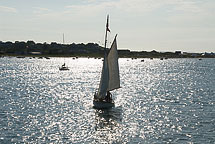 Sailing Into the harbor