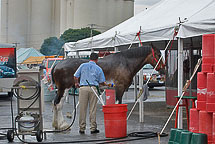 Oswego Harborfest 2008